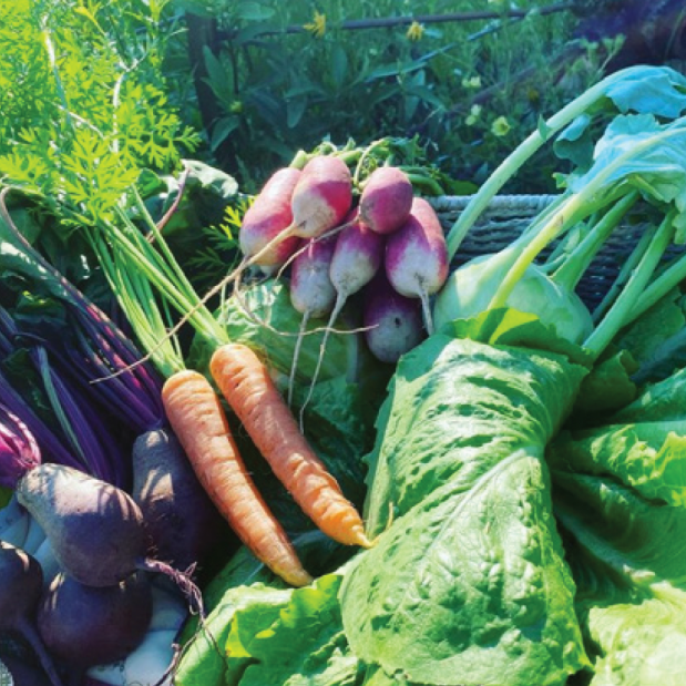Powderhound Lodge Fresh Produce Stop #1